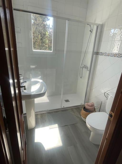 Exclusive apartamento limonar Málaga Esterno foto